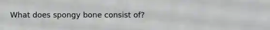 What does spongy bone consist of?