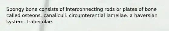 Spongy bone consists of interconnecting rods or plates of bone called osteons. canaliculi. circumterential lamellae. a haversian system. trabeculae.