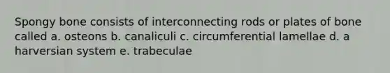 Spongy bone consists of interconnecting rods or plates of bone called a. osteons b. canaliculi c. circumferential lamellae d. a harversian system e. trabeculae