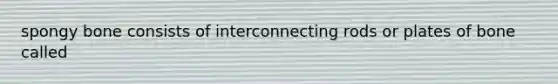 spongy bone consists of interconnecting rods or plates of bone called