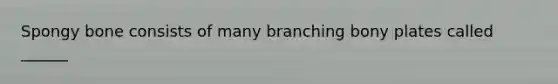 Spongy bone consists of many branching bony plates called ______