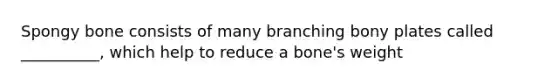 Spongy bone consists of many branching bony plates called __________, which help to reduce a bone's weight