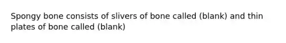 Spongy bone consists of slivers of bone called (blank) and thin plates of bone called (blank)