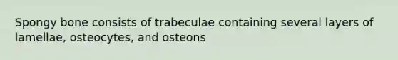 Spongy bone consists of trabeculae containing several layers of lamellae, osteocytes, and osteons