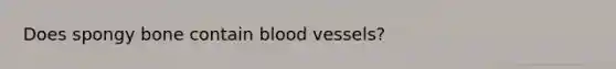 Does spongy bone contain <a href='https://www.questionai.com/knowledge/kZJ3mNKN7P-blood-vessels' class='anchor-knowledge'>blood vessels</a>?