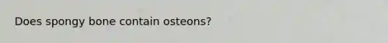 Does spongy bone contain osteons?