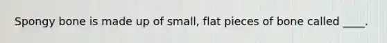 Spongy bone is made up of small, flat pieces of bone called ____.