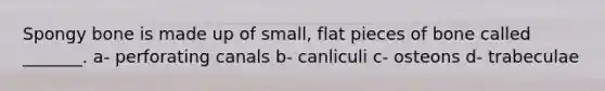 Spongy bone is made up of small, flat pieces of bone called _______. a- perforating canals b- canliculi c- osteons d- trabeculae