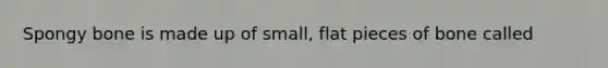 Spongy bone is made up of small, flat pieces of bone called