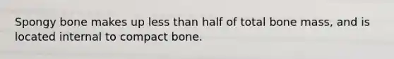 Spongy bone makes up less than half of total bone mass, and is located internal to compact bone.