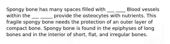 Spongy bone has many spaces filled with ___ ____ Blood vessels within the ___ _____ provide the osteocytes with nutrients. This fragile spongy bone needs the protection of an outer layer of compact bone. Spongy bone is found in the epiphyses of long bones and in the interior of short, flat, and irregular bones.