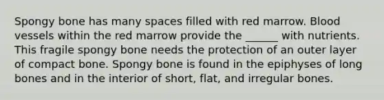 Spongy bone has many spaces filled with red marrow. Blood vessels within the red marrow provide the ______ with nutrients. This fragile spongy bone needs the protection of an outer layer of compact bone. Spongy bone is found in the epiphyses of long bones and in the interior of short, flat, and irregular bones.