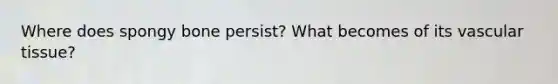 Where does spongy bone persist? What becomes of its vascular tissue?