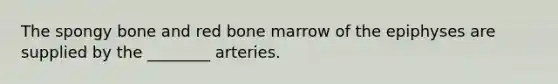 The spongy bone and red bone marrow of the epiphyses are supplied by the ________ arteries.