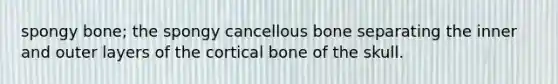 spongy bone; the spongy cancellous bone separating the inner and outer layers of the cortical bone of the skull.