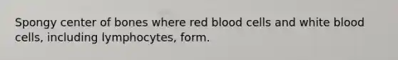 Spongy center of bones where red blood cells and white blood cells, including lymphocytes, form.