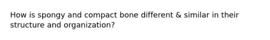 How is spongy and compact bone different & similar in their structure and organization?