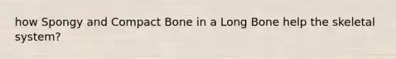 how Spongy and Compact Bone in a Long Bone help the skeletal system?