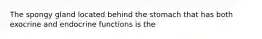 The spongy gland located behind the stomach that has both exocrine and endocrine functions is the