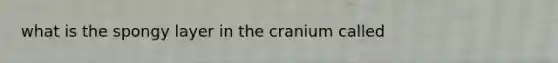 what is the spongy layer in the cranium called