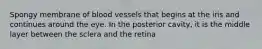 Spongy membrane of blood vessels that begins at the iris and continues around the eye. In the posterior cavity, it is the middle layer between the sclera and the retina