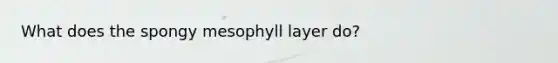 What does the spongy mesophyll layer do?