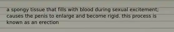 a spongy tissue that fills with blood during sexual excitement; causes the penis to enlarge and become rigid. this process is known as an erection