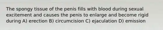 The spongy tissue of the penis fills with blood during sexual excitement and causes the penis to enlarge and become rigid during A) erection B) circumcision C) ejaculation D) emission