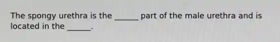 The spongy urethra is the ______ part of the male urethra and is located in the ______.