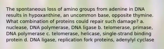 The spontaneous loss of amino groups from adenine in DNA results in hypoxanthine, an uncommon base, opposite thymine. What combination of proteins could repair such damage? a. nuclease, DNA polymerase, DNA ligase b. telomerase, primase, DNA polymerase c. telomerase, helicase, single-strand binding protein d. DNA ligase, replication fork proteins, adenylyl cyclase