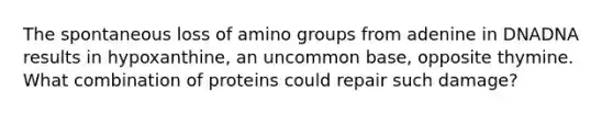 The spontaneous loss of amino groups from adenine in DNADNA results in hypoxanthine, an uncommon base, opposite thymine. What combination of proteins could repair such damage?