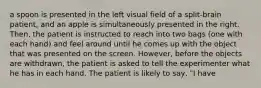 a spoon is presented in the left visual field of a split-brain patient, and an apple is simultaneously presented in the right. Then, the patient is instructed to reach into two bags (one with each hand) and feel around until he comes up with the object that was presented on the screen. However, before the objects are withdrawn, the patient is asked to tell the experimenter what he has in each hand. The patient is likely to say, "I have