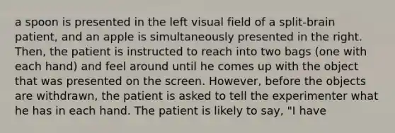 a spoon is presented in the left visual field of a split-brain patient, and an apple is simultaneously presented in the right. Then, the patient is instructed to reach into two bags (one with each hand) and feel around until he comes up with the object that was presented on the screen. However, before the objects are withdrawn, the patient is asked to tell the experimenter what he has in each hand. The patient is likely to say, "I have