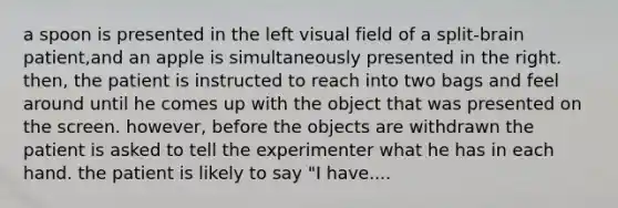 a spoon is presented in the left visual field of a split-brain patient,and an apple is simultaneously presented in the right. then, the patient is instructed to reach into two bags and feel around until he comes up with the object that was presented on the screen. however, before the objects are withdrawn the patient is asked to tell the experimenter what he has in each hand. the patient is likely to say "I have....