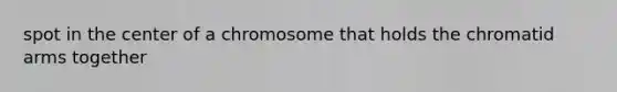 spot in the center of a chromosome that holds the chromatid arms together