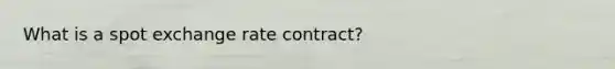 What is a spot exchange rate contract?