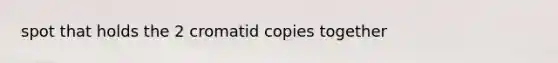 spot that holds the 2 cromatid copies together