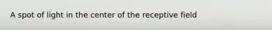 A spot of light in the center of the receptive field