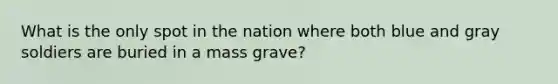 What is the only spot in the nation where both blue and gray soldiers are buried in a mass grave?