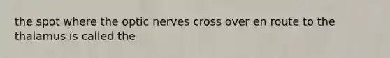 the spot where the optic nerves cross over en route to the thalamus is called the