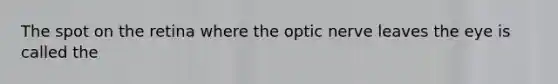 The spot on the retina where the optic nerve leaves the eye is called the