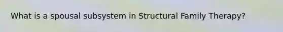 What is a spousal subsystem in Structural Family Therapy?