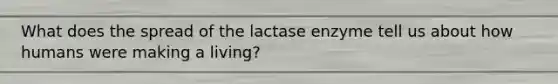 What does the spread of the lactase enzyme tell us about how humans were making a living?