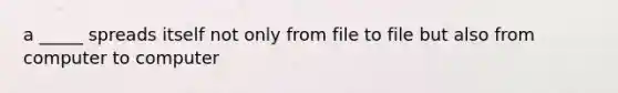 a _____ spreads itself not only from file to file but also from computer to computer