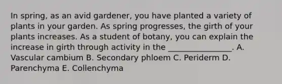 In spring, as an avid gardener, you have planted a variety of plants in your garden. As spring progresses, the girth of your plants increases. As a student of botany, you can explain the increase in girth through activity in the ________________. A. Vascular cambium B. Secondary phloem C. Periderm D. Parenchyma E. Collenchyma