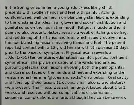 In the Spring or Summer, a young adult (less likely child) presents with swollen hands and feet with painful, itching, confluent, red, well defined, non-blanching skin lesions extending to the wrists and ankles in a "gloves and socks" distribution and painful sores on the lips in the mouth. Fatigue, muscle and joint pain are also present. History reveals a week of itching, swelling, and reddening of the hands and feet, which rapidly evolved into the non-blanching lesions involving hands and feet. The patient reported contact with a 12-y-old female with 5th disease 10 days prior to the onset of symptoms. Physical exam reveals a 102oF(xxoC) temperature, edematous, painful, puritic, confluent, symmetrical, sharply demarcated at the wrists and ankles, purpuric-petechial skin lesions involving both the palmoplantar and dorsal surfaces of the hands and feet and extending to the wrists and ankles in a "gloves and socks" distribution. Oral cavity and labial aphthoid lesions (Erosions, small ulcers, and blisters) were present. The illness was self-limiting, it lasted about 1 to 2 weeks and resolved without complications or permanent sequelae (complications are rare, although they can be severe).