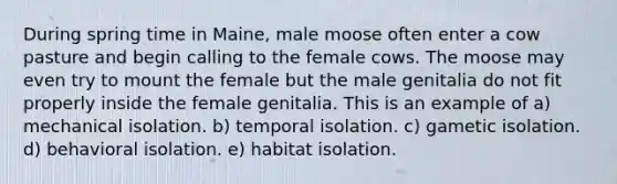 During spring time in Maine, male moose often enter a cow pasture and begin calling to the female cows. The moose may even try to mount the female but the male genitalia do not fit properly inside the female genitalia. This is an example of a) mechanical isolation. b) temporal isolation. c) gametic isolation. d) behavioral isolation. e) habitat isolation.