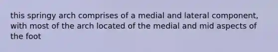 this springy arch comprises of a medial and lateral component, with most of the arch located of the medial and mid aspects of the foot
