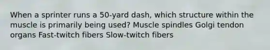 When a sprinter runs a 50-yard dash, which structure within the muscle is primarily being used? Muscle spindles Golgi tendon organs Fast-twitch fibers Slow-twitch fibers