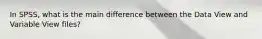 In SPSS, what is the main difference between the Data View and Variable View files?
